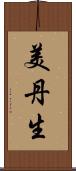 美丹生 Scroll