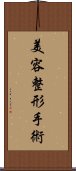 美容整形手術 Scroll