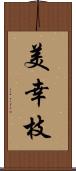 美幸枝 Scroll