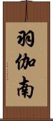 羽伽南 Scroll