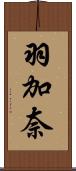 羽加奈 Scroll