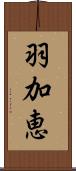 羽加恵 Scroll