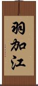 羽加江 Scroll