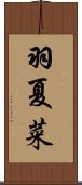 羽夏菜 Scroll