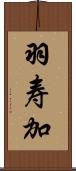 羽寿加 Scroll