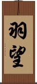 羽望 Scroll