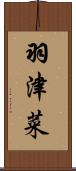 羽津菜 Scroll