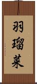 羽瑠菜 Scroll