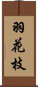 羽花枝 Scroll