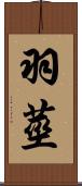羽莖 Scroll