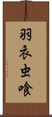 羽衣虫喰 Scroll