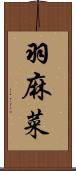 羽麻菜 Scroll