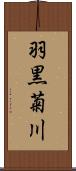 羽黒菊川 Scroll