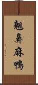 翹鼻麻鴨 Scroll