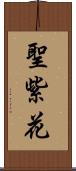 聖紫花 Scroll