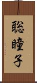 聡瞳子 Scroll