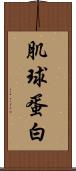 肌球蛋白 Scroll