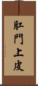 肛門上皮 Scroll