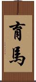 育馬 Scroll