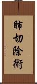 肺切除術 Scroll