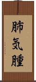 肺気腫 Scroll
