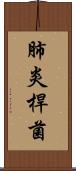 肺炎桿菌 Scroll