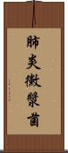 肺炎黴漿菌 Scroll