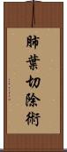 肺葉切除術 Scroll
