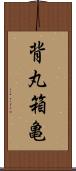 背丸箱亀 Scroll