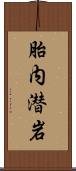 胎内潜岩 Scroll