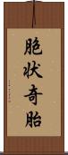 胞状奇胎 Scroll