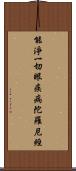 能淨一切眼疾病陀羅尼經 Scroll