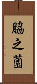 脇之薗 Scroll