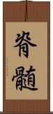 脊髄 Scroll