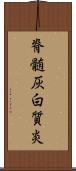 脊髄灰白質炎 Scroll