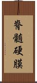 脊髄硬膜 Scroll