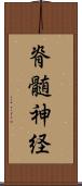 脊髄神経 Scroll