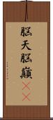 脳天 Scroll