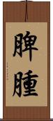 脾腫 Scroll