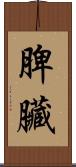 脾臟 Scroll