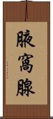 腋窩腺 Scroll