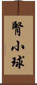 腎小球 Scroll