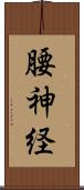 腰神経 Scroll