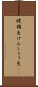 腱鞘炎 Scroll