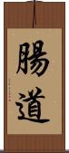 腸道 Scroll