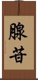 腺苷 Scroll