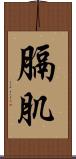 膈肌 Scroll