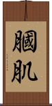 膕肌 Scroll