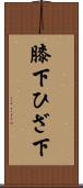 膝下 Scroll