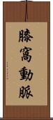 膝窩動脈 Scroll